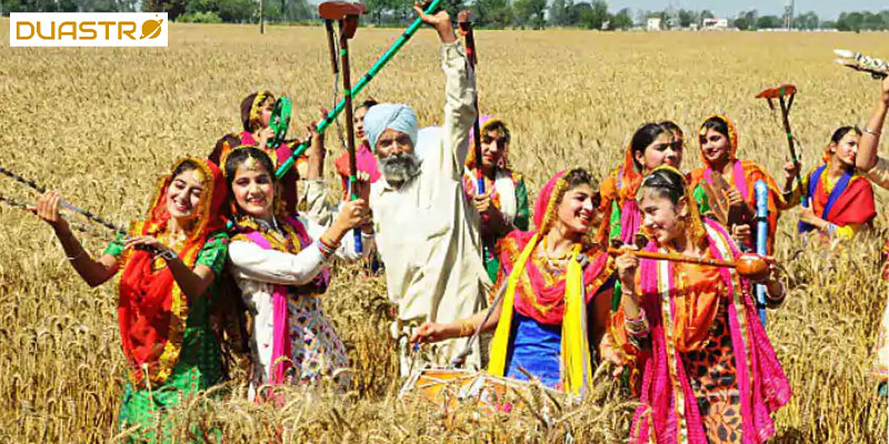 Baisakhi: Harvest Celebration 